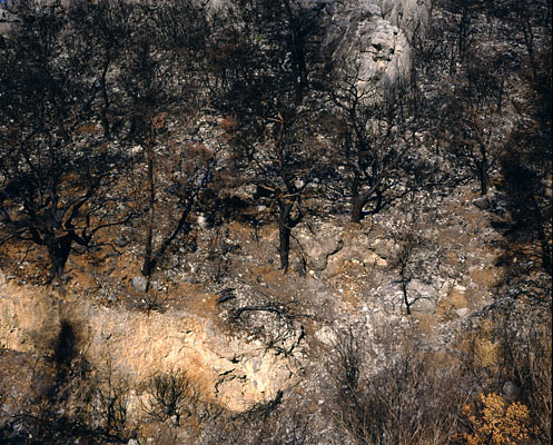 Kaifa/ Peloponnes, Greece, 2007, from the series The Ionian Road