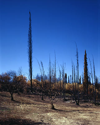Zacharo/ Peloponnes, Greece, 2007, from the series The Ionian Road