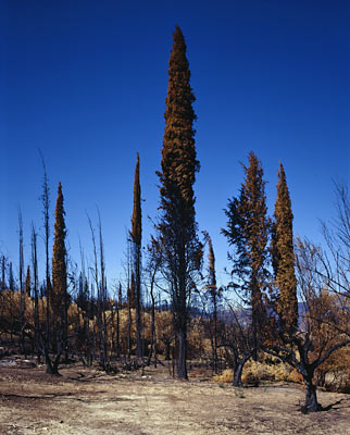 Zacharo/ Peloponnes, Greece, 2007, from the series The Ionian Road