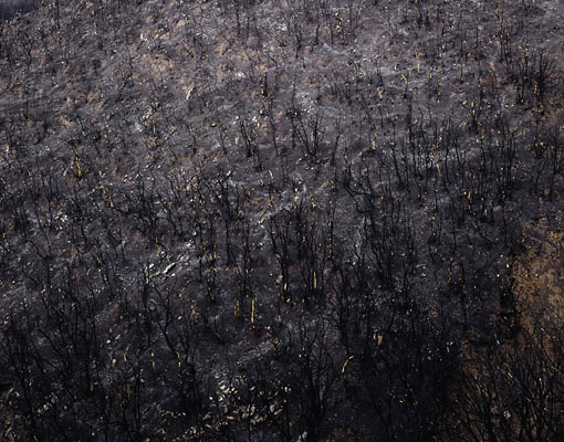 Tripoli/ Peloponnes, Greece, 2007, from the series The Ionian Road