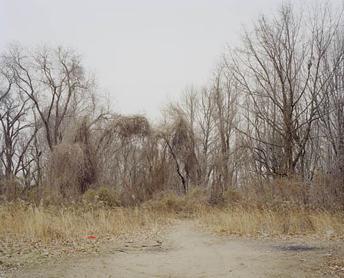 Neighborhoods, New York, 2007-2009