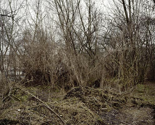 from the series: Topographie des Terrors, Berlin, 2009