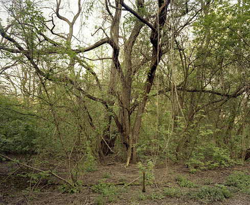 from the series: Topographie des Terrors, Berlin, 2009