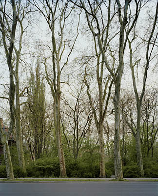 Puschkinallee, Berlin, 2008