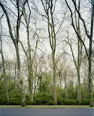 Puschkinallee, Berlin, 2008