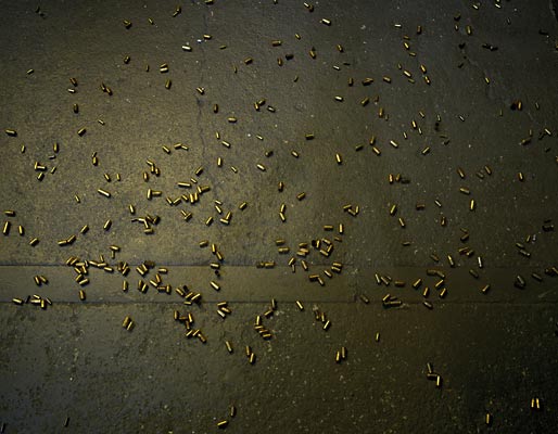 Bulletts #1/ #2, 2006