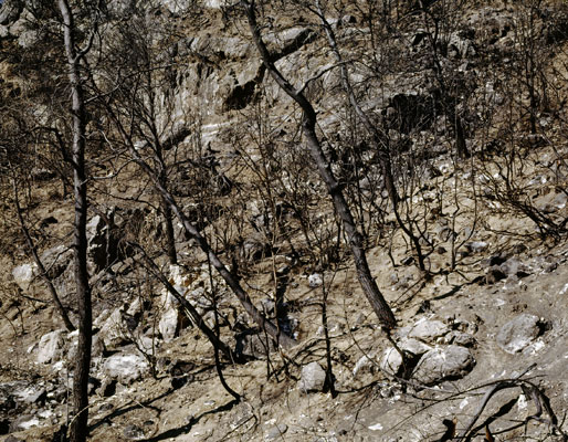 The Ionian Road I, Peloponnes, Greece 2007