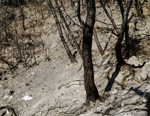 The Ionian Road I, Peloponnes, Greece 2007