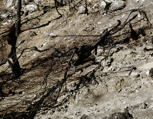 The Ionian Road I, Peloponnes, Greece 2007