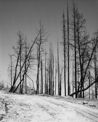 The Ionian Road I, Peloponnes, Greece 2007