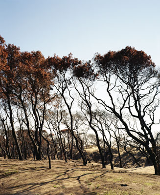 The Ionian Road I, Peloponnes, Greece 2007