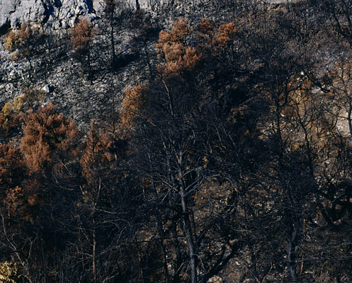 The Ionian Road II, Peloponnes, Greece 2007