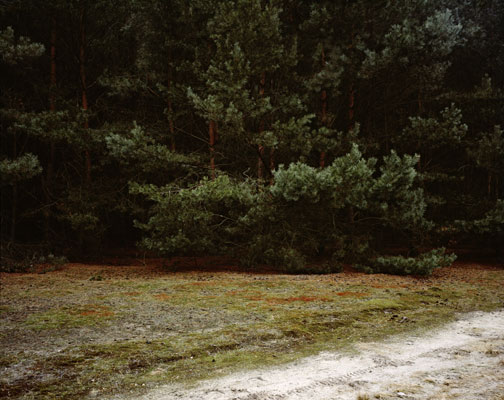 Brandenburg I, 2009–2015