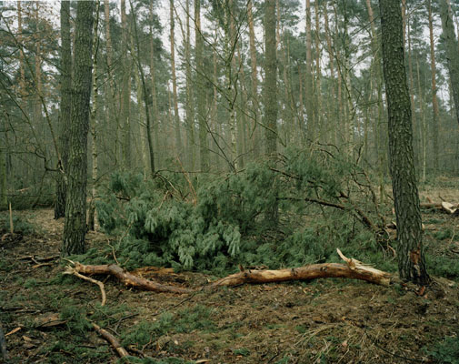 Brandenburg I, 2009–2015