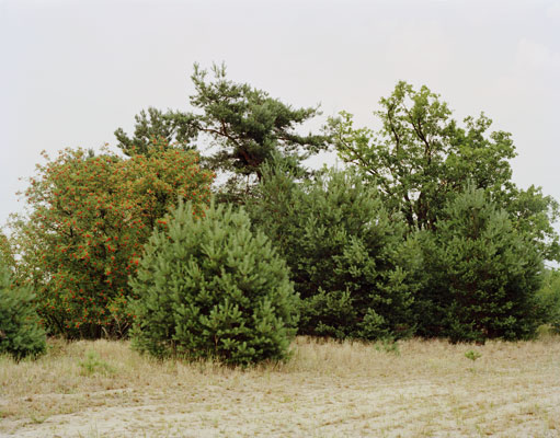 Brandenburg II, 2009–2015