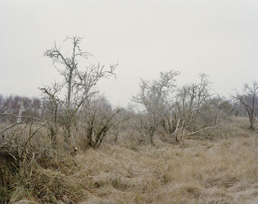 Brandenburg II, 2009–2015