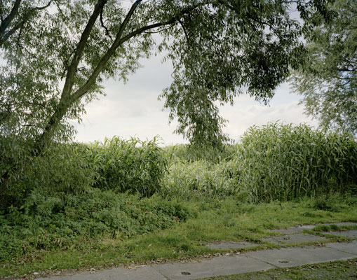 Brandenburg II, 2009–2015