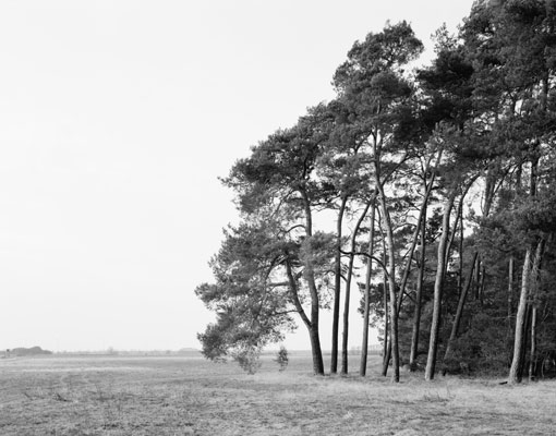 Brandenburg III, 2009–2015