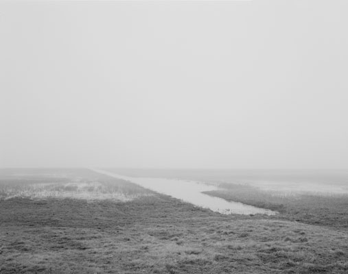 Brandenburg III, 2009–2015