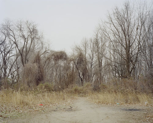 Neighborhood Conversations I, New York, 2007–2016, work in progress