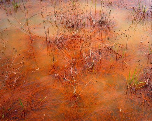 The cycle SEE II, Lausitz, Germany, 2004–2013