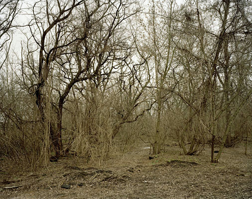 Topographie des Terrors I, Berlin, 2009