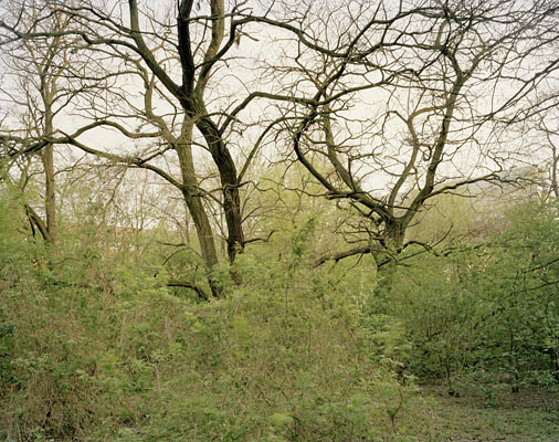 Topographie des Terrors I, Berlin, 2009