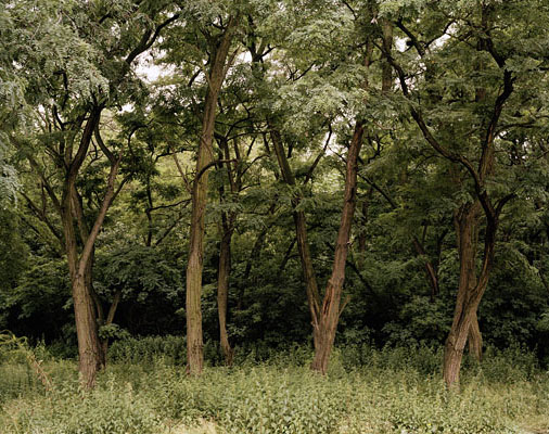 Topographie des Terrors II, Berlin, 2009