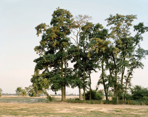 Berlin I, 2014–2020